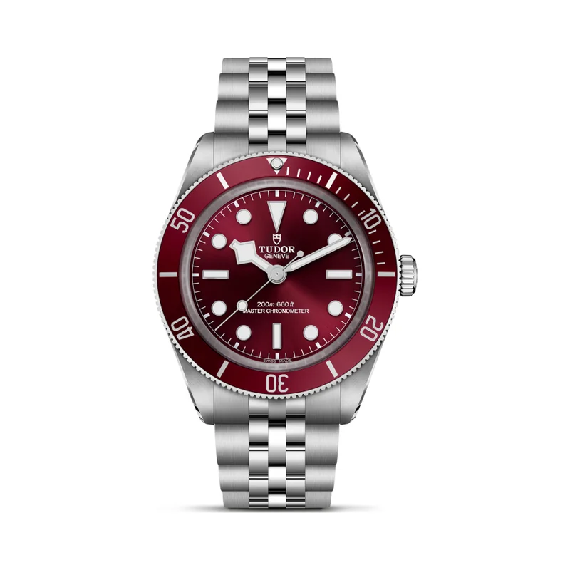 Tudor Black Bay 58 M7939A1A0NU-0001