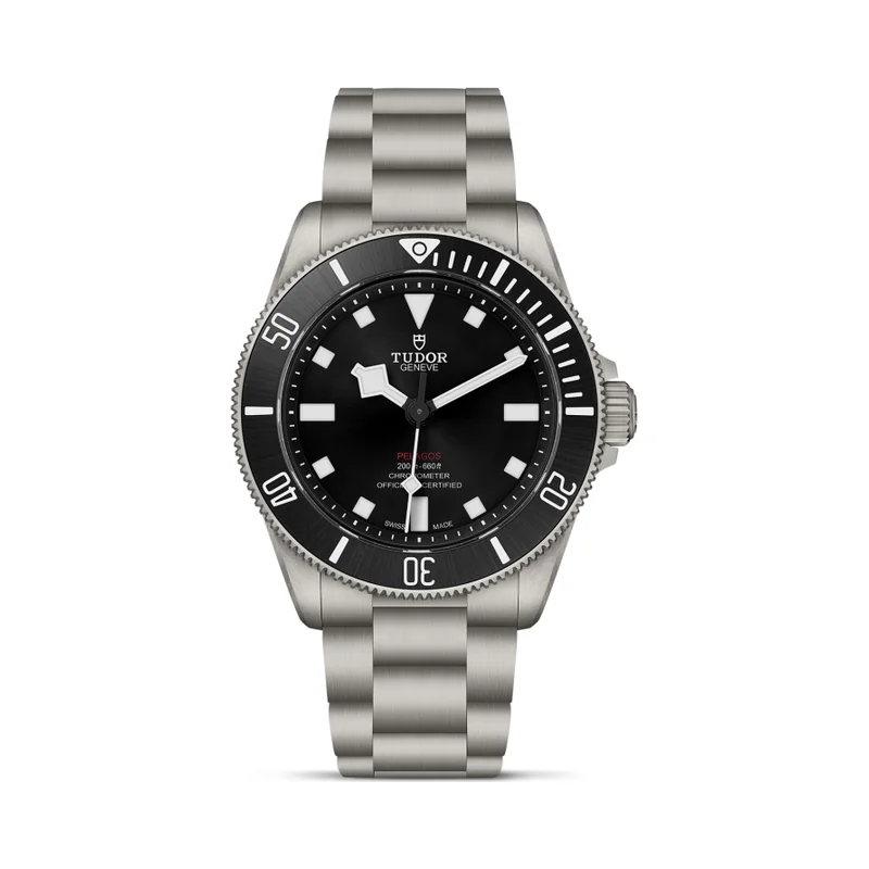 Tudor Pelagos 39 M25407N-0001
